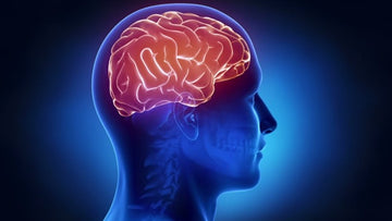 Alzheimer’s disease
