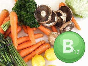Importance of Vitamin B12 in Daily Life and Its Vegetarian Sources