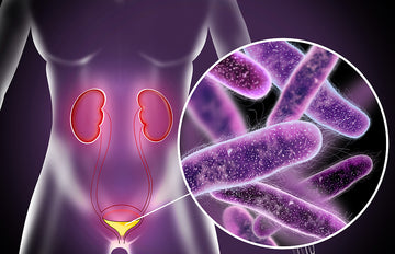 Managing Urinary tract infection with Ayurveda