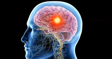 EPILEPSY (APASMARA)