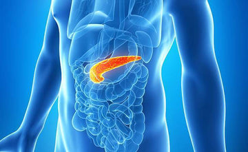 Pancreatitis