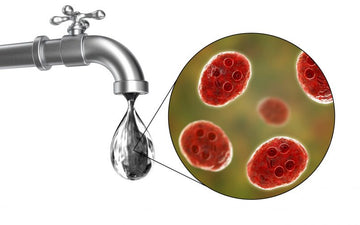 WHAT ARE WATER BORNE DISEASE ?