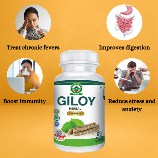 Giloy Capsule