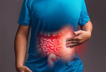 What are Irritable Bowel Syndrome (IBS)? How it can be Treated with Herbal Remedies?