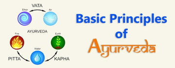 What are the Basic Principals of Ayurveda?
