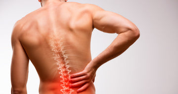 What is the Reasons for Back Pain? How it can be Cured Naturally?