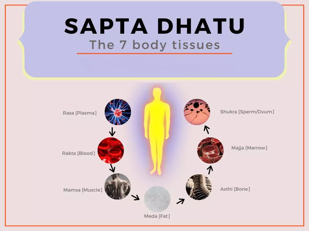 What are the 7 dhatus of Ayurveda?