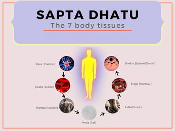 What are the 7 dhatus of Ayurveda?