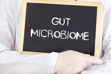 How to Treat Gut Health & Microbiome in Ayurveda?
