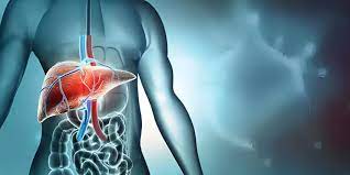 LIVER CIRRHOSIS