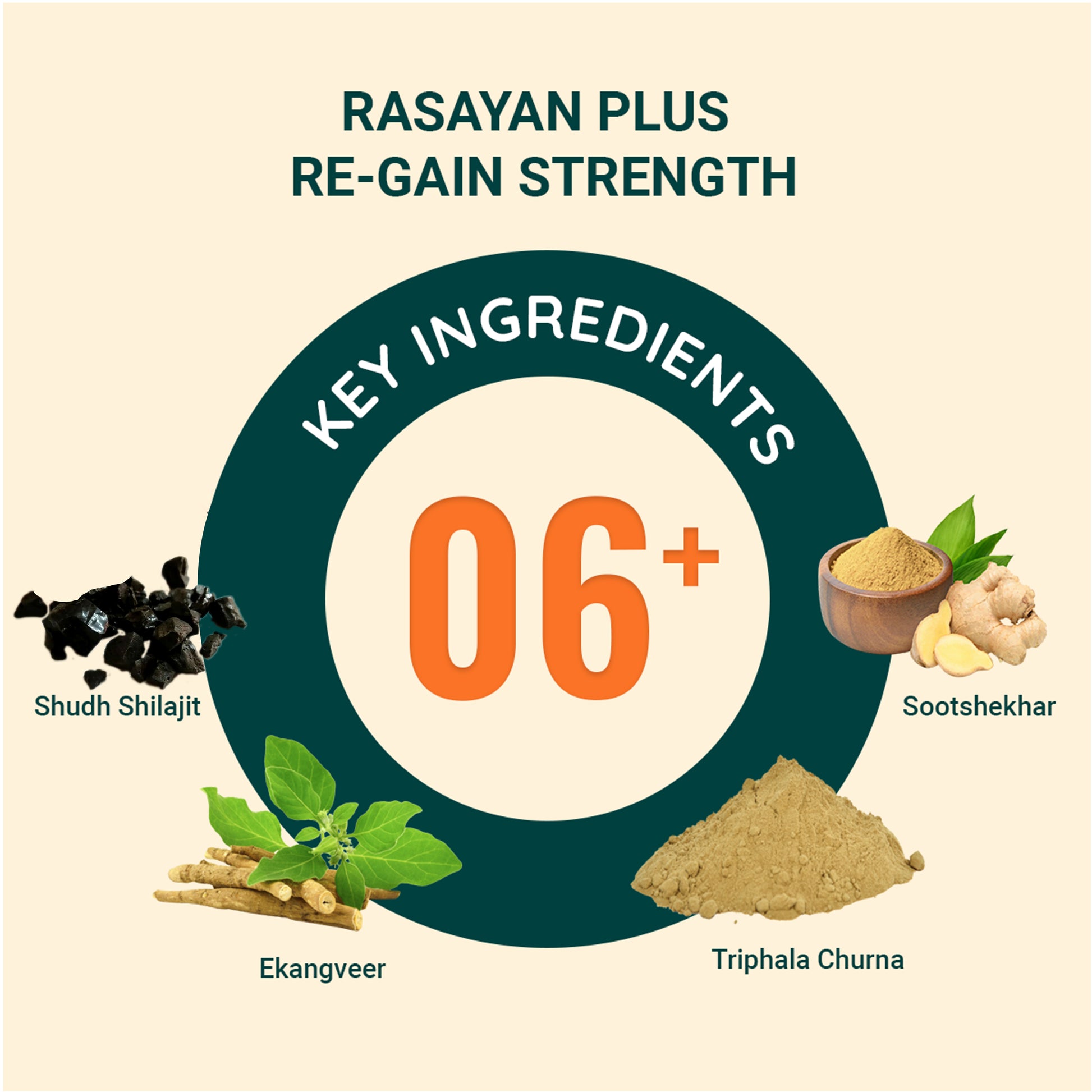 Ras Rasayan Rasayan Plus Tablet